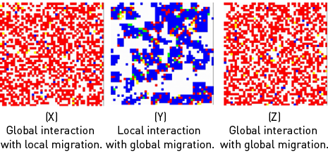 (X) Gloabl interaction with local migration., (Y) Local interaction with global migration., (Z) Global interaction with global migration.