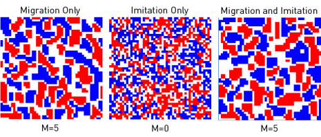 (D) P11 = P22 = 1, P12 = P21 = -1.