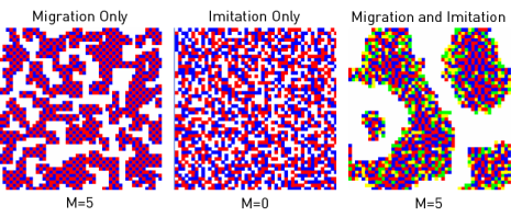 (E)  P11 = P22 = 0, P12 = P21 = 1.