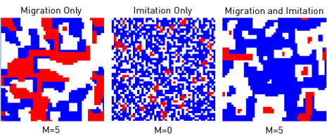 (F)  P11=P22=P12=1, P21=-1.