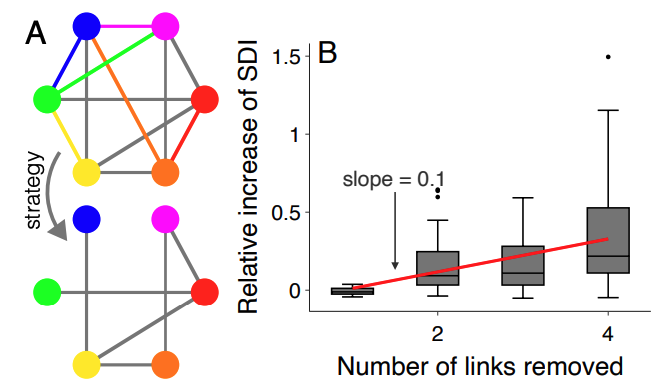 network_diversity