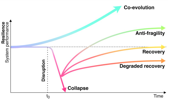 participatory resilience